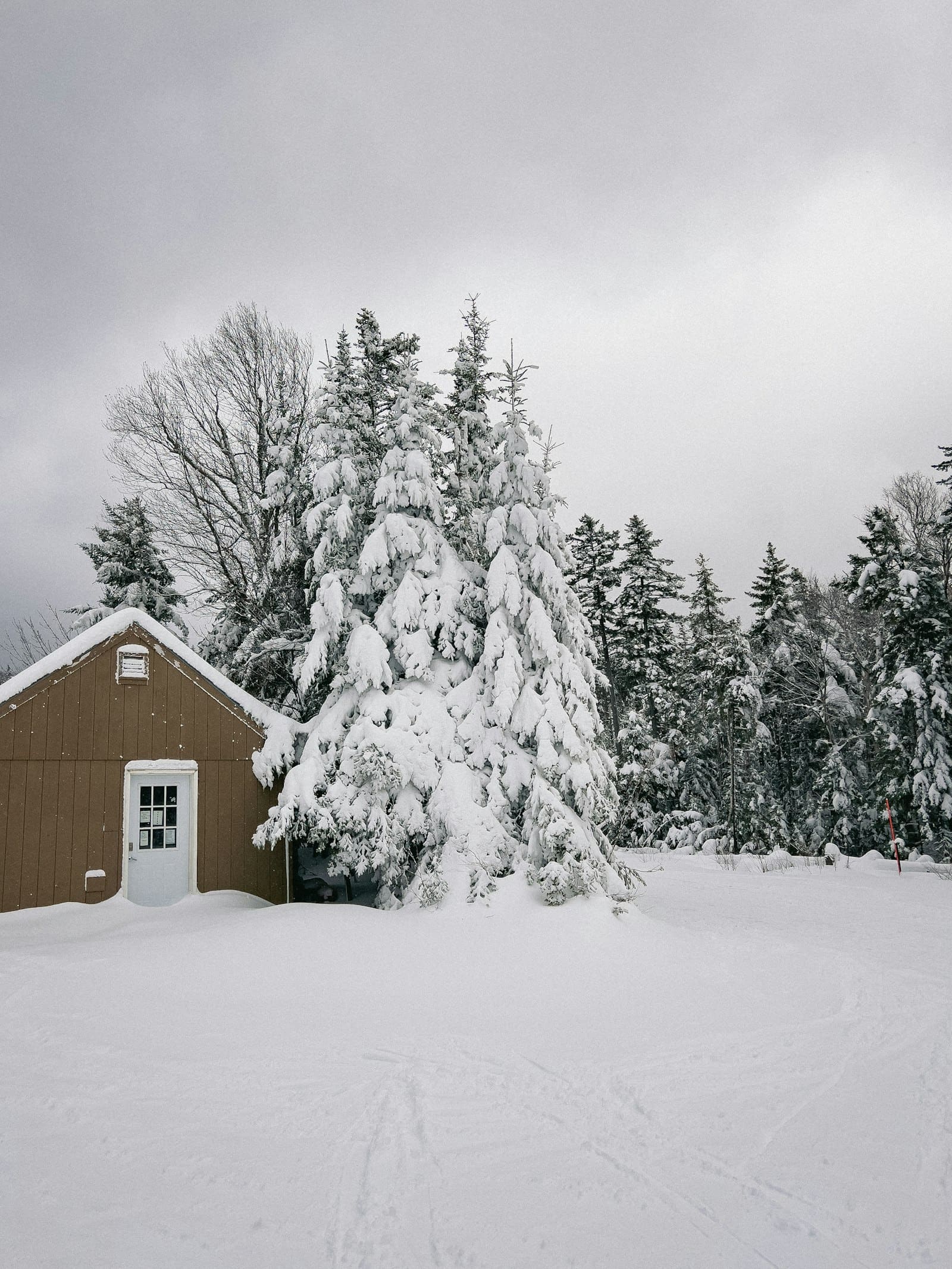 New Hampshire shed and pines blanketed in heavy snow — illustrating shoulder-season and winter risk for concrete pours in NH
